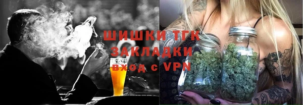 сатива Корсаков