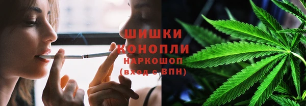 ГАЛЛЮЦИНОГЕННЫЕ ГРИБЫ Коряжма