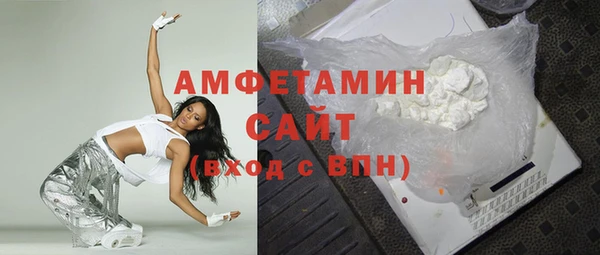 сатива Корсаков