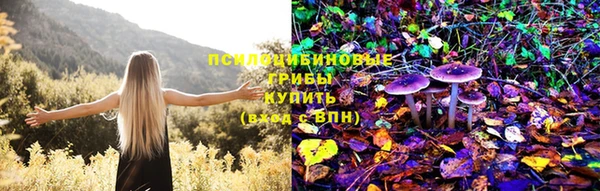 крисы Костерёво