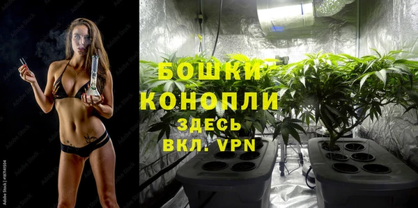 ПСИЛОЦИБИНОВЫЕ ГРИБЫ Краснослободск