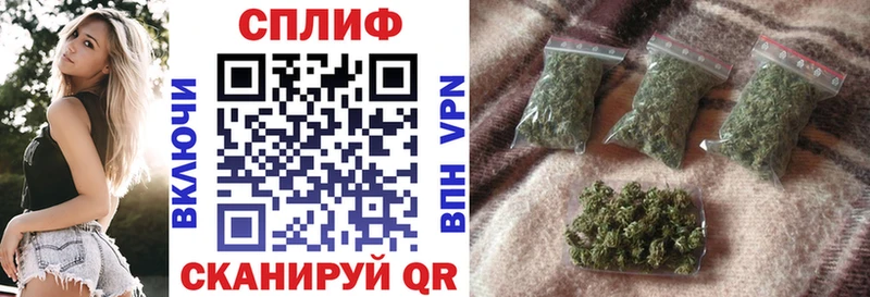 Конопля индика Лосино-Петровский
